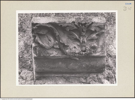 Vorderseite von Pedicini, Luciano [https://www.deutsche-digitale-bibliothek.de/content/lizenzen/rv-ez/] Frontalansicht, bh238760_recto. Foto: Pedicini, Luciano.