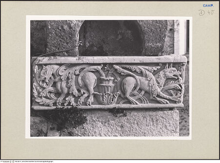 Vorderseite von Pedicini, Luciano [https://www.deutsche-digitale-bibliothek.de/content/lizenzen/rv-ez/] Wölfe - Frontalansicht, bh238761_recto. Foto: Pedicini, Luciano.