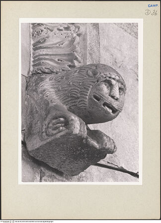 Vorderseite von Pedicini, Luciano [https://www.deutsche-digitale-bibliothek.de/content/lizenzen/rv-ez/] Linkes Nebenportal - Archivolte, rechte Konsole (Löwe), bh238789_recto. Foto: Pedicini, Luciano.