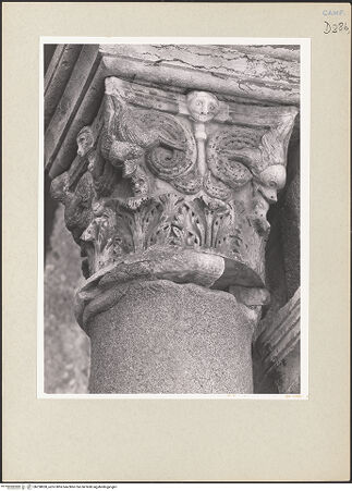 Vorderseite von Pedicini, Luciano [https://www.deutsche-digitale-bibliothek.de/content/lizenzen/rv-ez/] Pfeiler und KonsolenVierter ArkadenpfeilerKapitell mit zoomorphen Motiven - Gesamtansicht, bh238830_recto. Foto: Pedicini, Luciano.