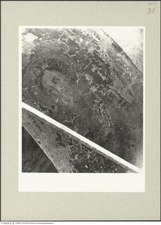 Vorderseite von bh238937_recto