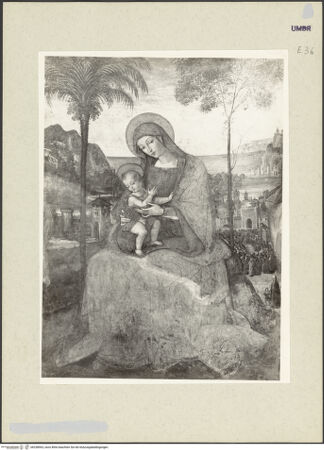 Vorderseite von bh238963_recto