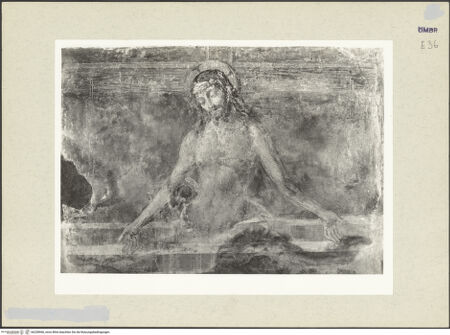 Vorderseite von bh238966_recto