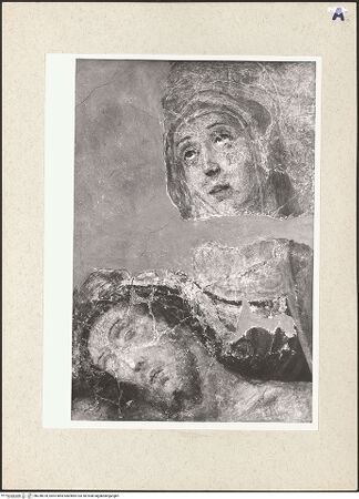 Vorderseite von bh238978_recto