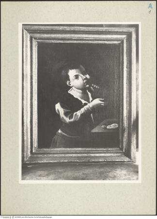 Vorderseite von bh238989_recto