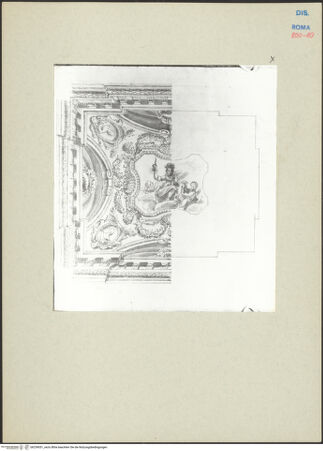 Vorderseite von bh239051_recto