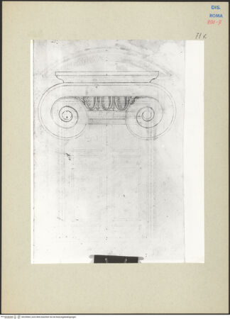 Vorderseite von bh239065_recto