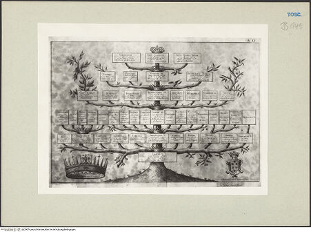 Vorderseite von bh239074_recto