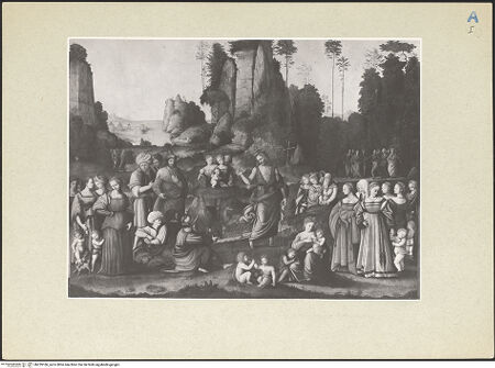 Vorderseite von bh239186_recto