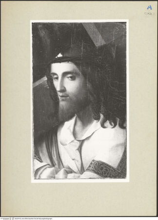 Vorderseite von bh239192_recto