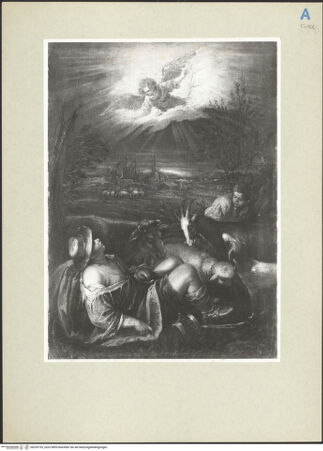 Vorderseite von bh239193_recto