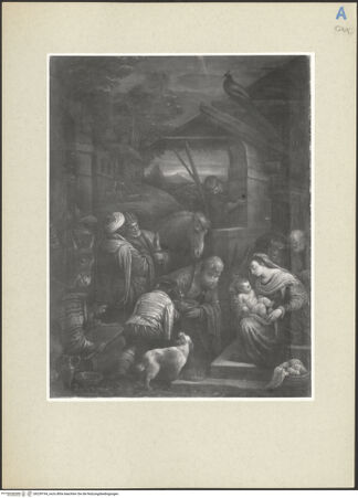 Vorderseite von bh239194_recto