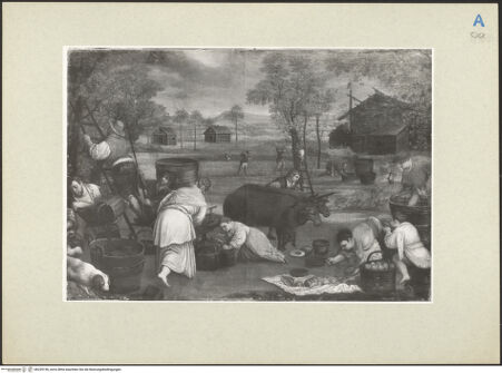 Vorderseite von bh239196_recto