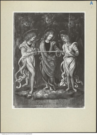 Vorderseite von bh239202_recto