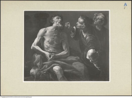 Vorderseite von bh239203_recto