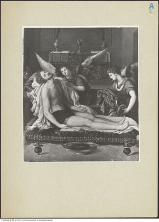 Vorderseite von bh239205_recto