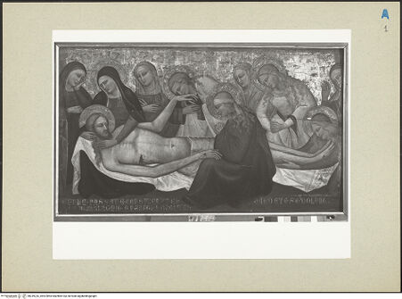 Vorderseite von bh239216_recto