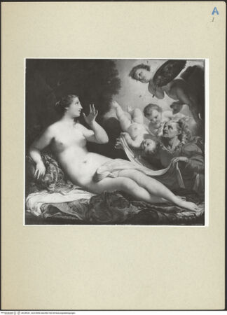 Vorderseite von bh239261_recto