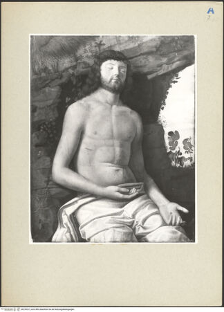 Vorderseite von bh239267_recto