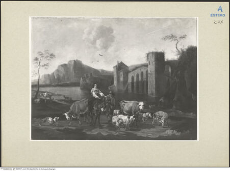 Vorderseite von bh239281_recto