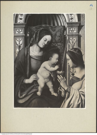 Vorderseite von bh239282_recto