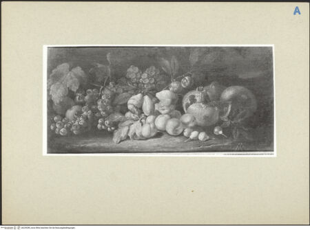 Vorderseite von bh239285_recto