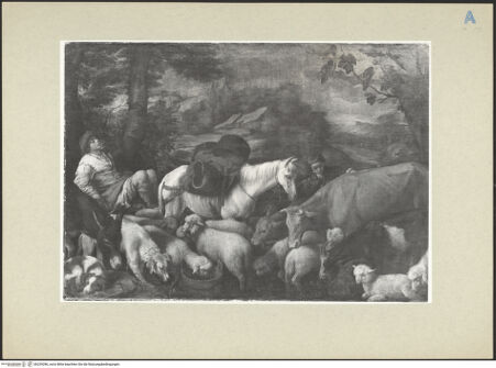 Vorderseite von bh239286_recto