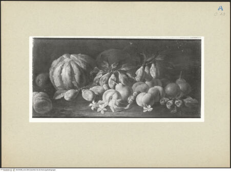 Vorderseite von bh239288_recto