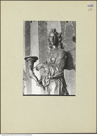 Vorderseite von bh239696_recto