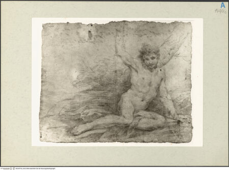 Vorderseite von bh239743_recto