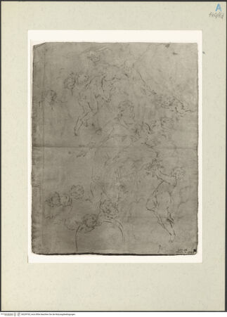 Vorderseite von bh239765_recto