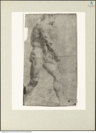 Vorderseite von bh239766_recto