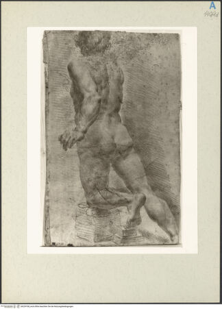 Vorderseite von bh239768_recto