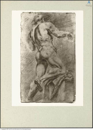 Vorderseite von bh239769_recto