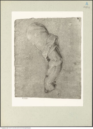 Vorderseite von bh239772_recto