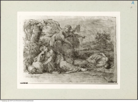 Vorderseite von bh239775_recto