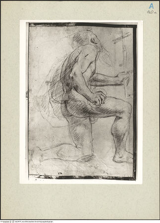 Vorderseite von bh239781_recto