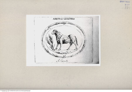 Vorderseite von Bibliotheca Hertziana [http://creativecommons.org/publicdomain/mark/1.0/] , bh239840. Foto.