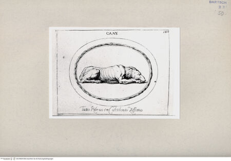 Vorderseite von Bibliotheca Hertziana [http://creativecommons.org/publicdomain/mark/1.0/] , bh239849. Foto.