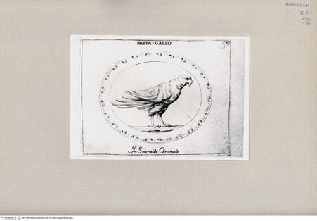 Vorderseite von Bibliotheca Hertziana [http://creativecommons.org/publicdomain/mark/1.0/] , bh239894. Foto.