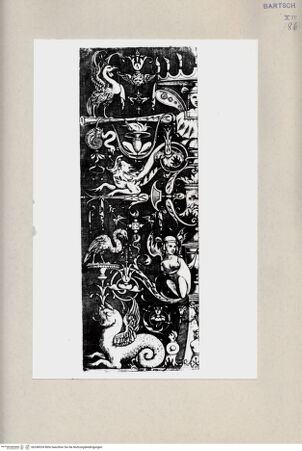 Vorderseite von Bibliotheca Hertziana [http://creativecommons.org/publicdomain/mark/1.0/] ... - , bh240024. Foto.