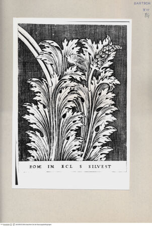 Vorderseite von Bibliotheca Hertziana [http://creativecommons.org/publicdomain/mark/1.0/] ... - , bh240033. Foto.