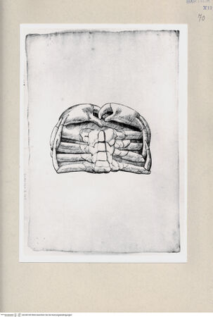 Vorderseite von Bibliotheca Hertziana [http://creativecommons.org/publicdomain/mark/1.0/] Krebs - , bh240189. Foto.