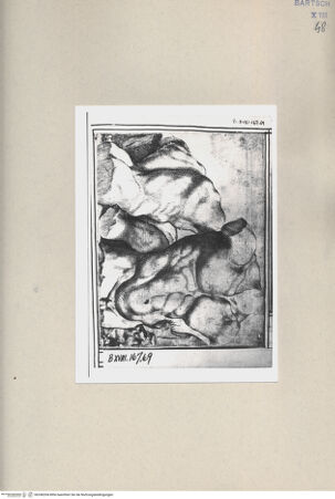 Vorderseite von Bibliotheca Hertziana [http://creativecommons.org/publicdomain/mark/1.0/] ... - , bh240204. Foto.