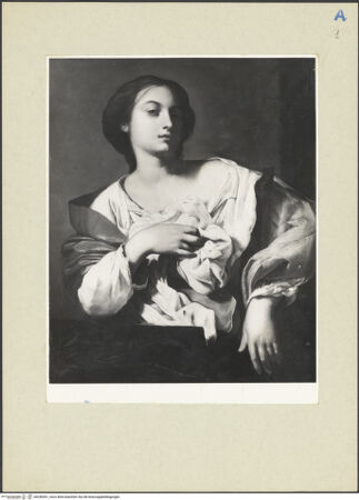 Vorderseite von bh240541_recto