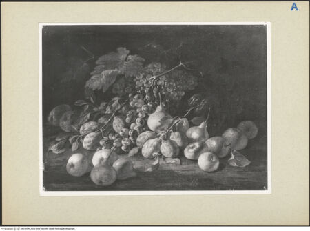 Vorderseite von bh240564_recto