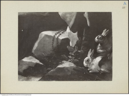 Vorderseite von bh240583_recto