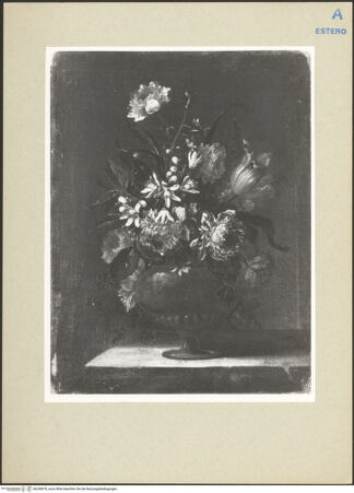 Vorderseite von bh240678_recto