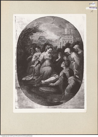 Vorderseite von Sopr. BAS NA [https://www.deutsche-digitale-bibliothek.de/content/lizenzen/rv-ez/] Die Auffindung des Moses - Gesamtansicht, bh240679_recto. Foto.