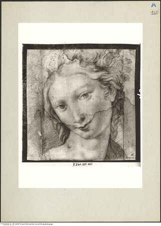 Vorderseite von bh240737_recto